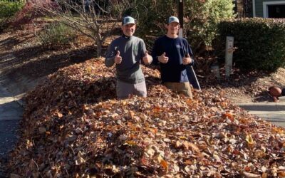 Raleigh Leaf Collection Change (2026)