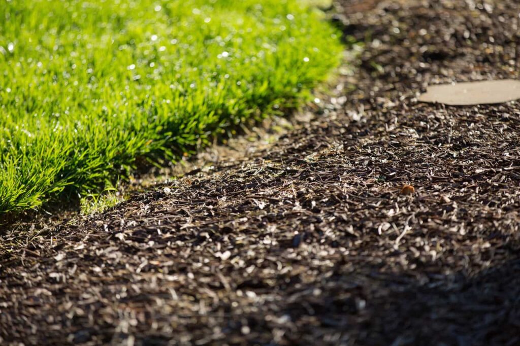 Mulch installation in a landscape bed by Edison Landscaping in Raleigh, NC