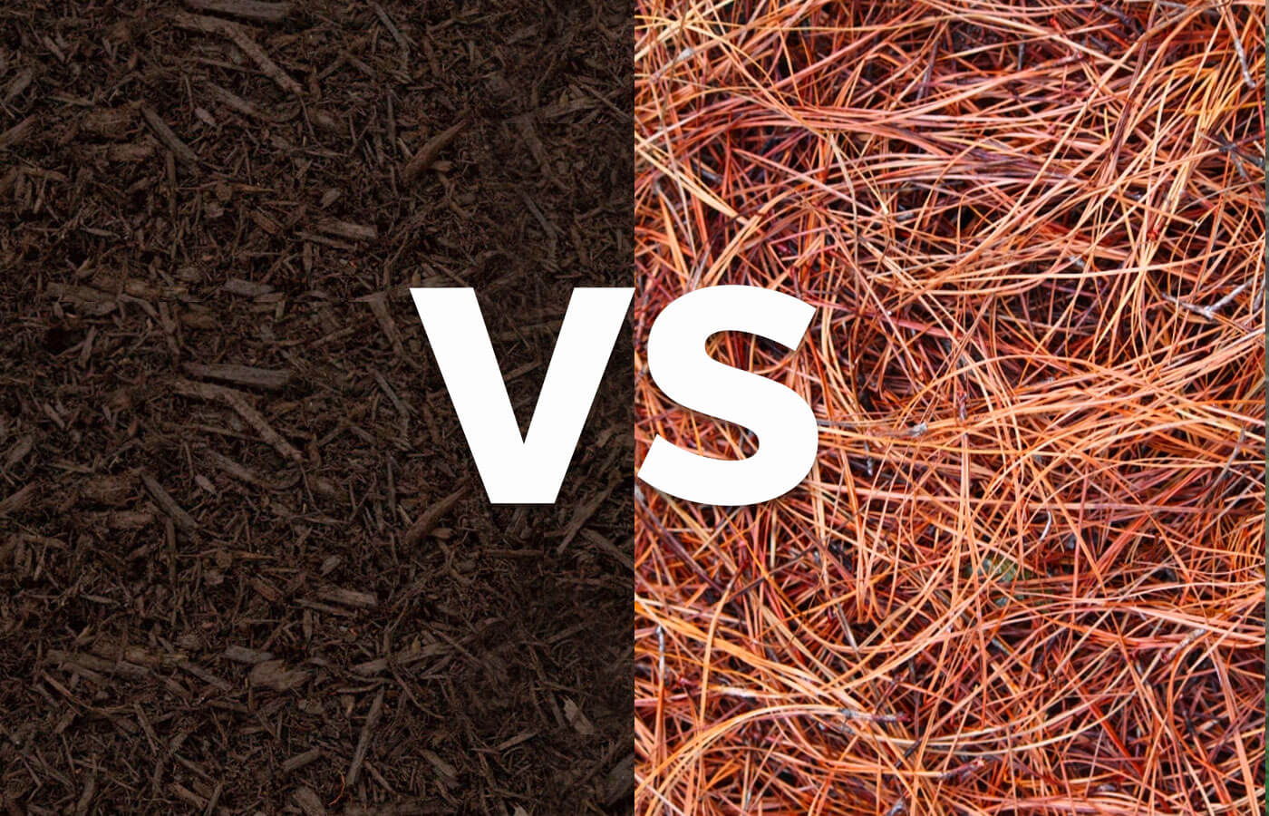 Mulch vs. Pinestraw