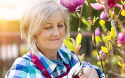 Five Tips That Will Have You Pruning Like a Pro This Season!