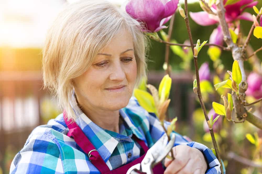Woman pruning bushes