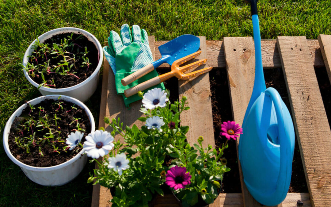 5 DIY Pallet Projects For Your Lawn & Garden