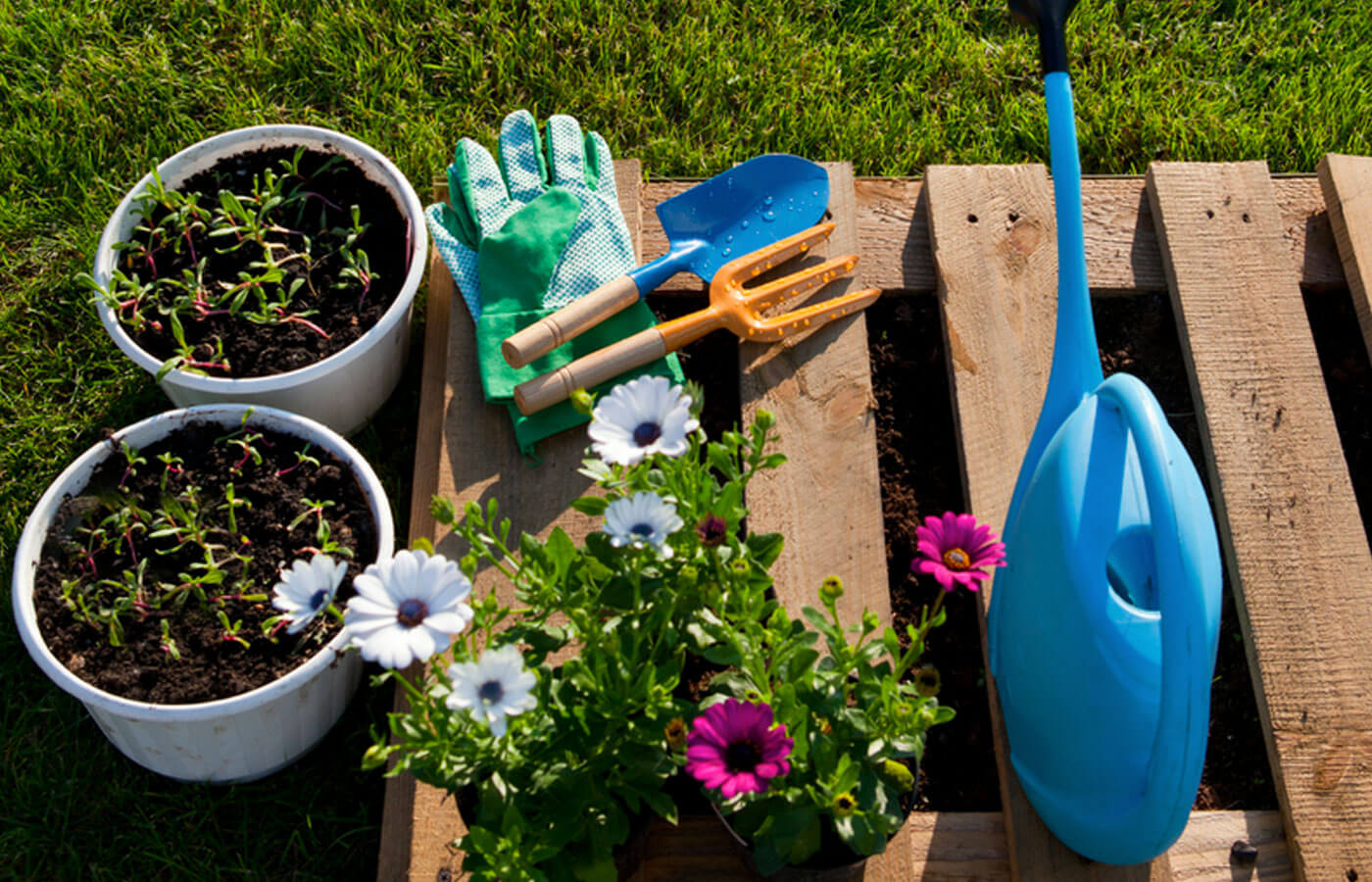 Water can, gloves, and landscaping tools on pallet