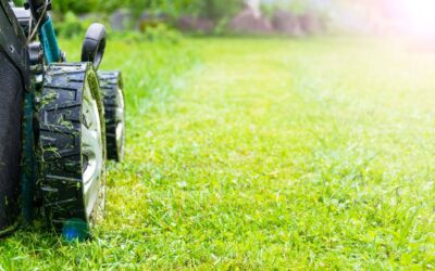 When should I start cutting the grass?