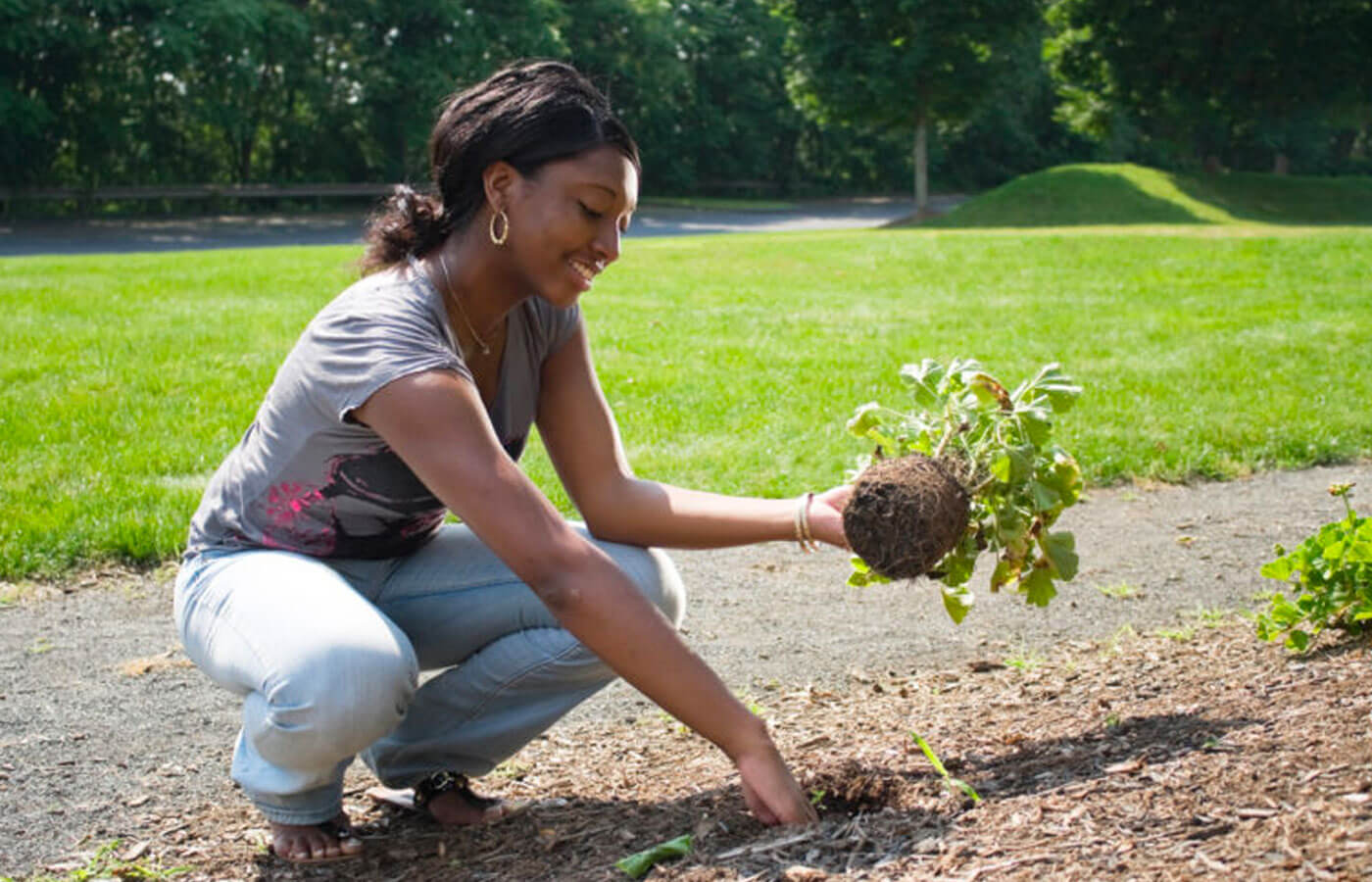 Woman planting in mulch