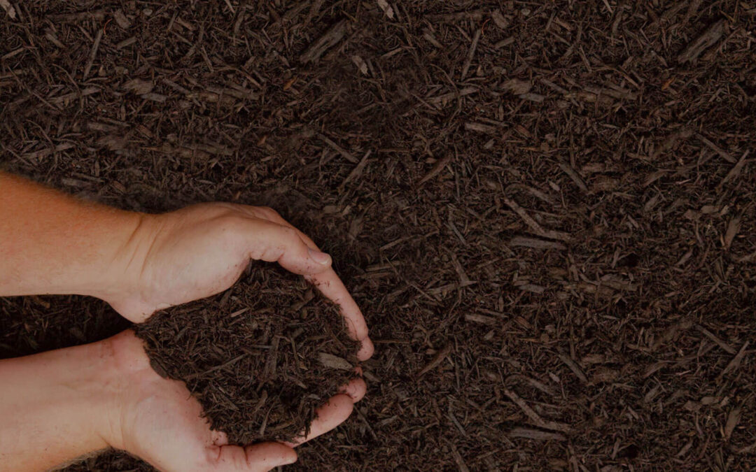 When To Install Winter Mulch