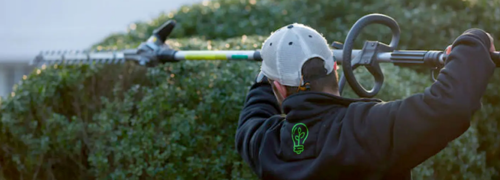 Shrub pruning by Edison Landscaping in Raleigh, NC