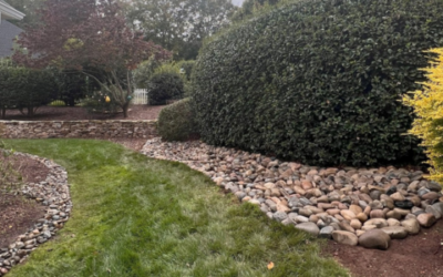 Transform Your Yard with Apex Landscaping Services
