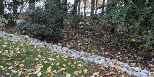 Drainage solution by Edison Landscaping.