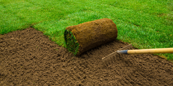 New sod installations with Edison Landscaping in Raleigh, NC