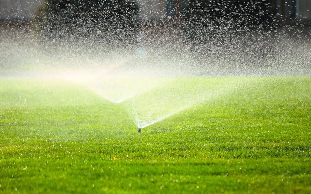 When Should You Shut Off Irrigation?