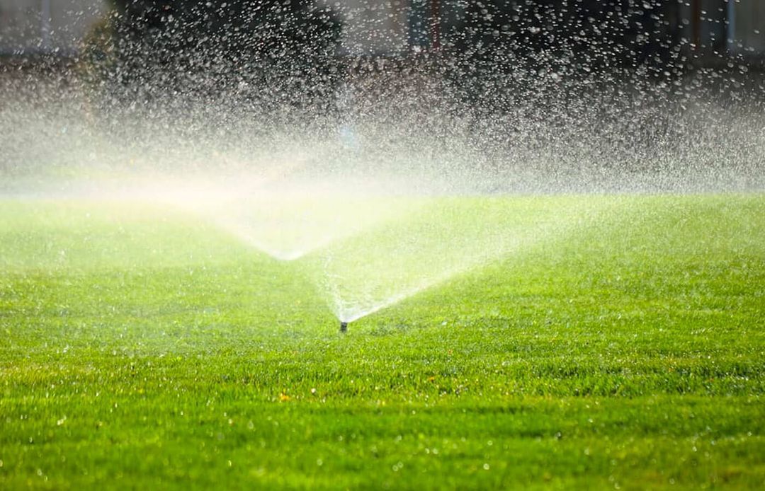 Sprinklers in lawn