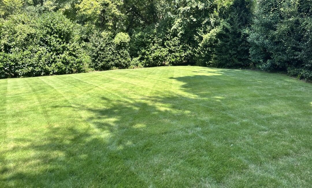 Can I Water My Lawn During Raleigh’s 2026 Drought Restrictions?