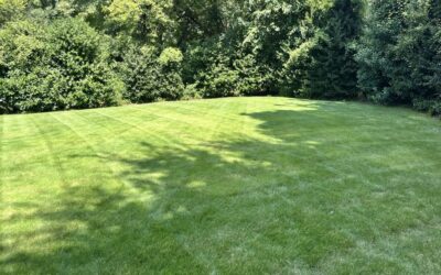 Can I Water My Lawn During Raleigh’s 2026 Drought Restrictions?