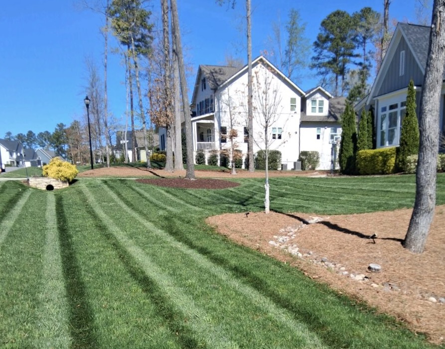 Lawn care by Edison Landscaping.