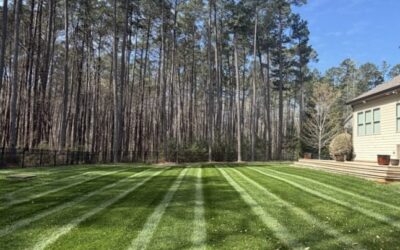 How to Choose a Landscaping Company in Raleigh, NC