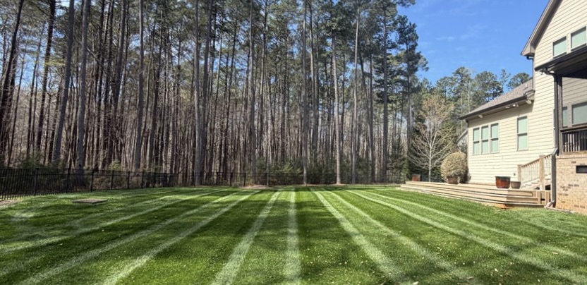 Residential lawn maintenance by Edison Landscaping in Raleigh, NC