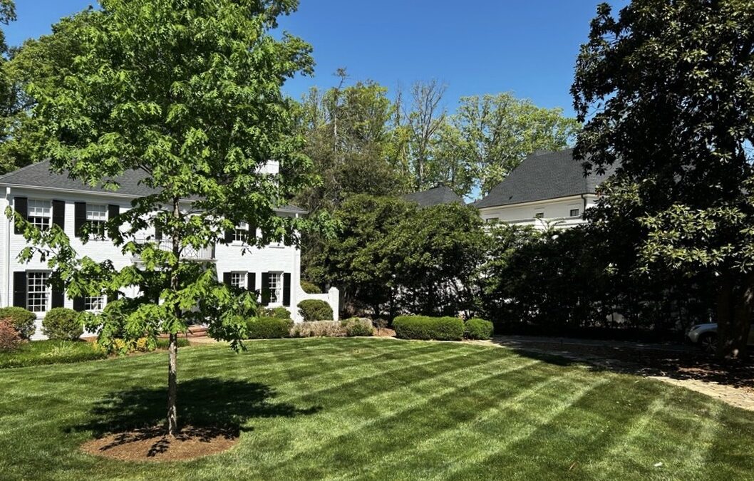 Top Raleigh Landscaping Services for Homeowners