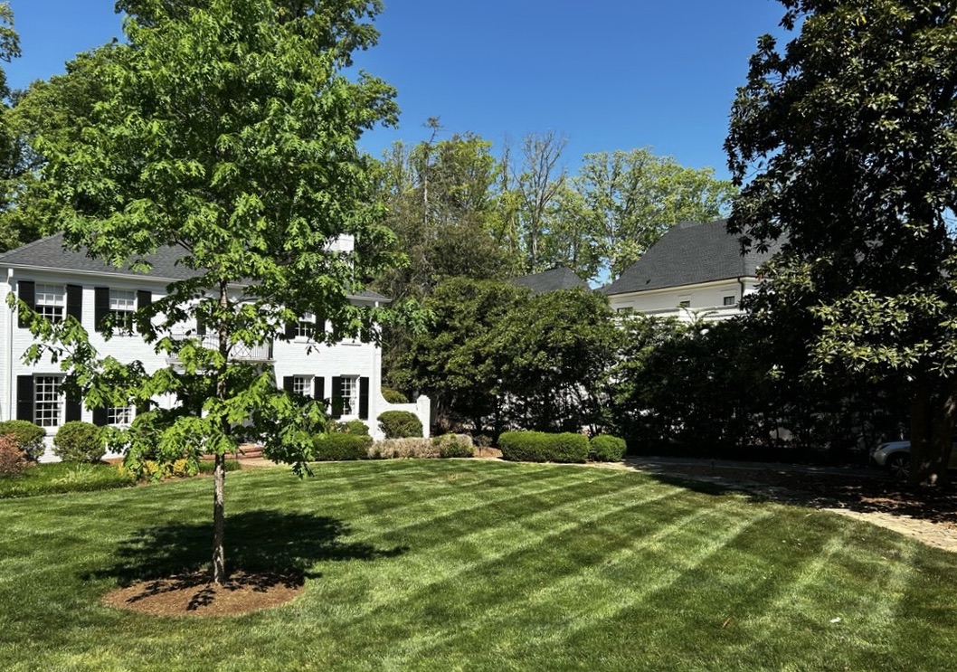 Landscape maintained by Edison Landscaping.