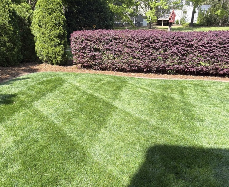 Lawn mowed by Edison Landscaping.
