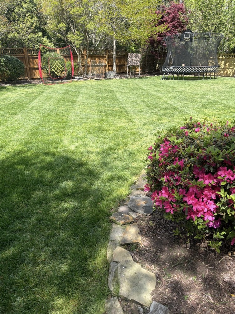 Landscape maintained by Edison Landscaping