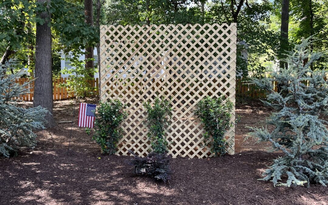 The Best Plants for Raleigh’s Summer Heat