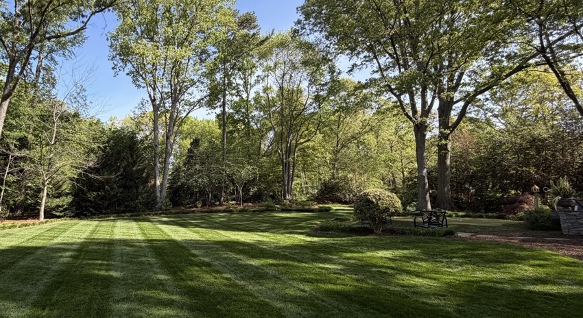 Lawn & Landscape Maintenance in Holly Springs, NC
