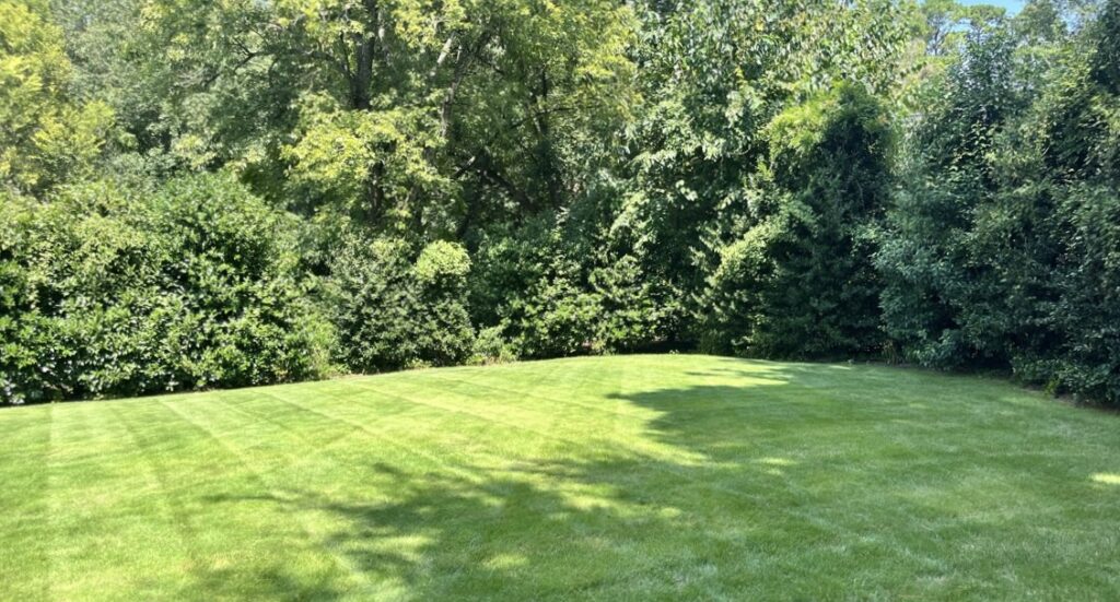 Residential lawn maintained by Edison Landscaping in Morrisville, NC
