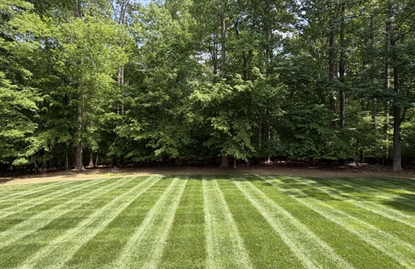 Residential lawn maintained by Edison Landscaping in Apex, NC