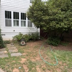 Before – side bed: Side yard planting bed before mulch installation in Raleigh, NC, with bare dirt