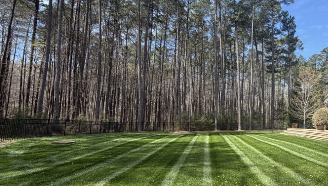 Residential lawn maintained by Edison Landscaping.