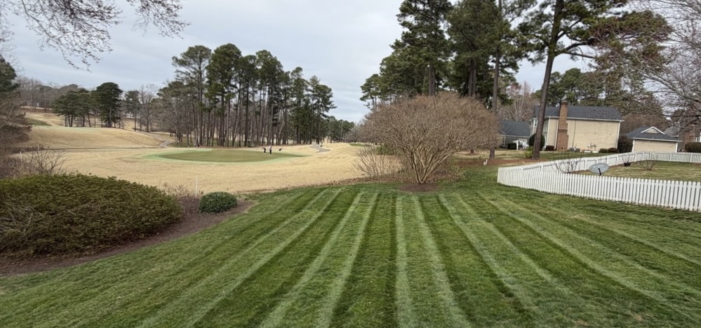 Residential lawn maintained by Edison Landscaping in Cary, NC
