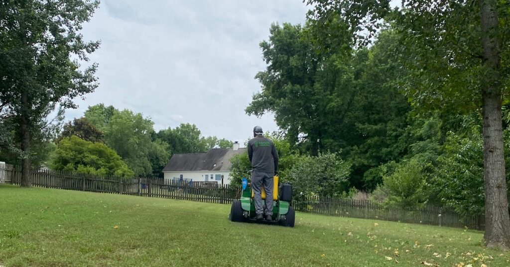 Residential lawn maintained by Edison Landscaping.