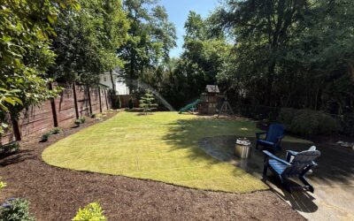 From Custom Design to Year-Round Care: A Sod and Mulch Project in Raleigh